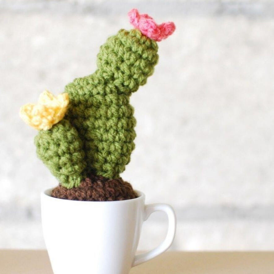 Cactus in a cup